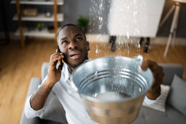 Best Water damage restoration insurance claims  in North Brooksville, FL