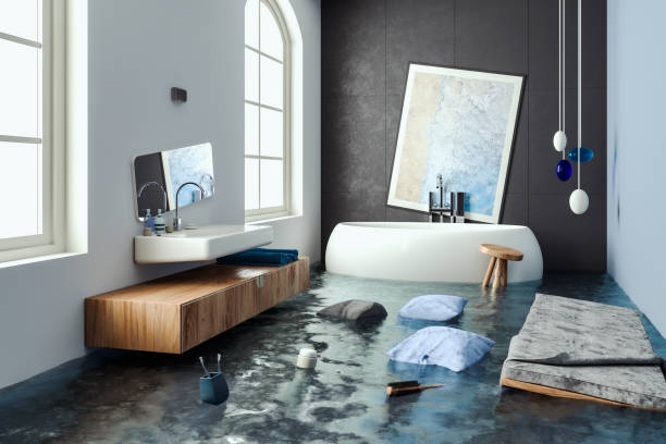 Best Carpet water damage restoration  in North Brooksville, FL