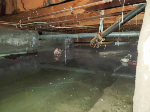 24/7 water damage repair in North Brooksville, FL
