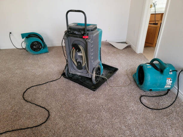 Best 24/7 water damage repair  in North Brooksville, FL