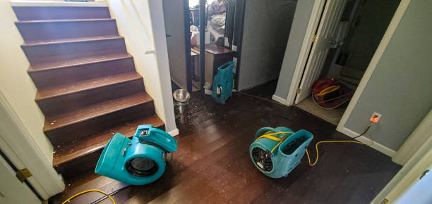 Local water damage restoration in North Brooksville, FL