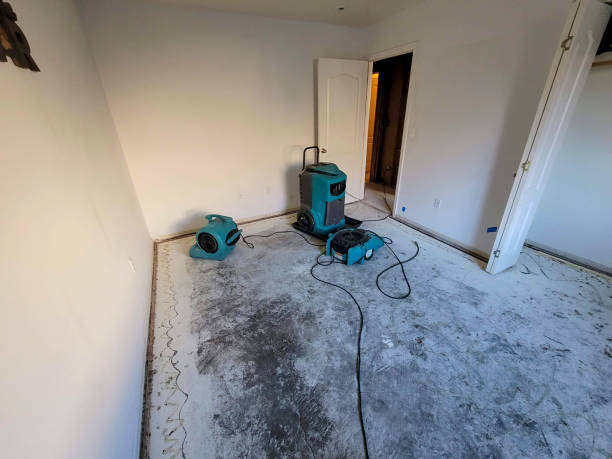 Best Local water damage restoration  in North Brooksville, FL