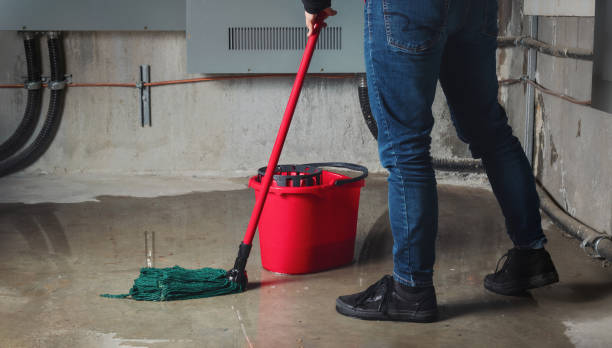 Best Water damage restoration company  in North Brooksville, FL