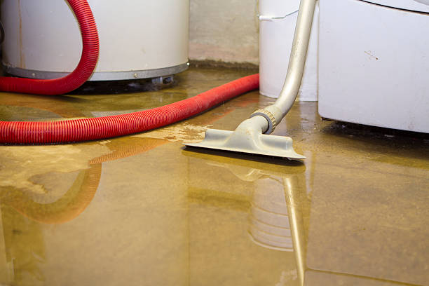 Best Flood restoration services  in North Brooksville, FL