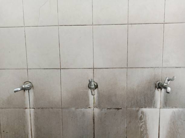 Best Water damage cleanup near me  in North Brooksville, FL