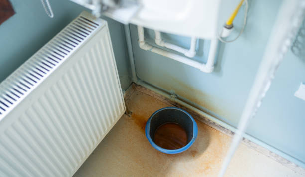 Best Water damage cleanup near me  in North Brooksville, FL