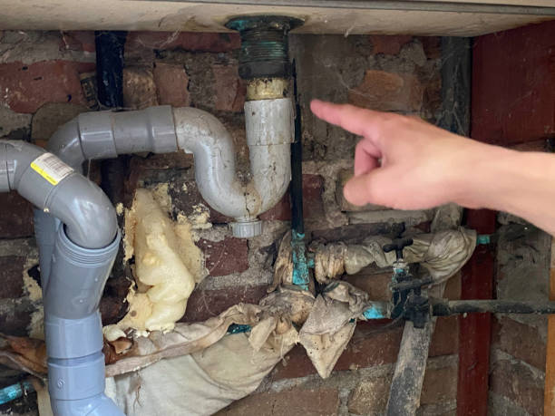 Water damage restoration mold remediation in North Brooksville, FL