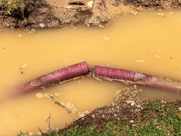 Best Water damage restoration experts  in North Brooksville, FL