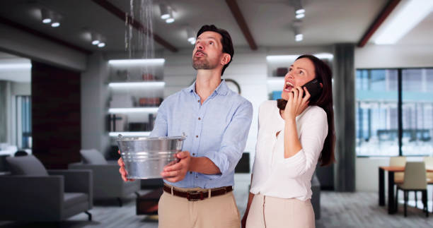 Best Mold removal after water damage  in North Brooksville, FL
