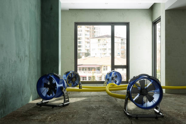 Best Water damage restoration mold remediation  in North Brooksville, FL