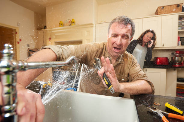 Best Water damage restoration experts  in North Brooksville, FL